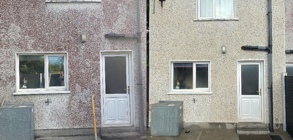 House render soft wash & algae removal — before & after